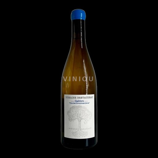 Thung lũng sông Loire Muscadet Sèvre et Maine Domaine Bretaudeau Gabbro « clos des bouquinardières » 2023